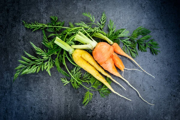 Carrots Leaves Dark Background — Foto de Stock
