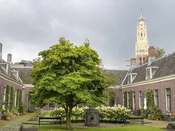 Vista Teylers Hofje Pátio Haarlem Países Baixos — Fotografia de Stock