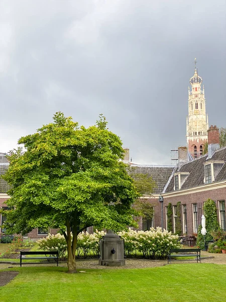 Hollanda, Haarlem 'deki Teyler Hofje (avlu) manzarası