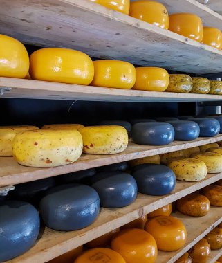 Hollanda 'da bir rafta olgunlaşan peynir
