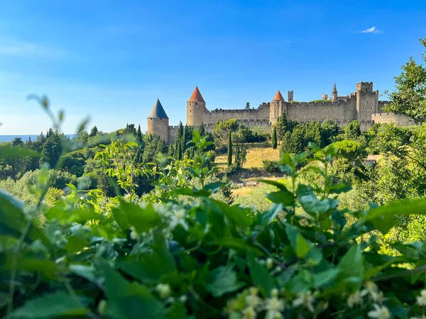 Ακρόπολη Της Carcassonne Δει Πάνω Από Αμπέλια Ενός Αμπελώνα Στη — Φωτογραφία Αρχείου