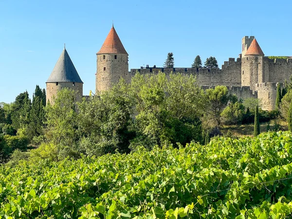 Ακρόπολη Της Carcassonne Δει Πάνω Από Αμπέλια Ενός Αμπελώνα Στη — Φωτογραφία Αρχείου