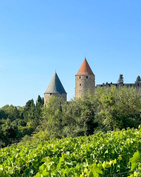 Ακρόπολη Της Carcassonne Δει Πάνω Από Αμπέλια Ενός Αμπελώνα Στη — Φωτογραφία Αρχείου