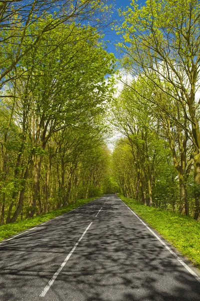 Beautiful road — Stock Photo, Image