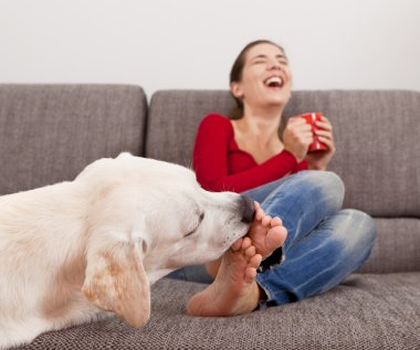 Dog licking the toes clipart