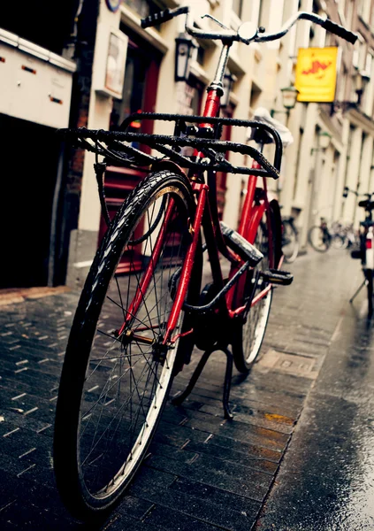 Holanda Bicicletas — Foto de Stock