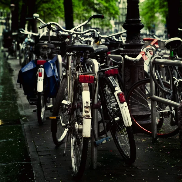 Holland Bisiklet — Stok fotoğraf