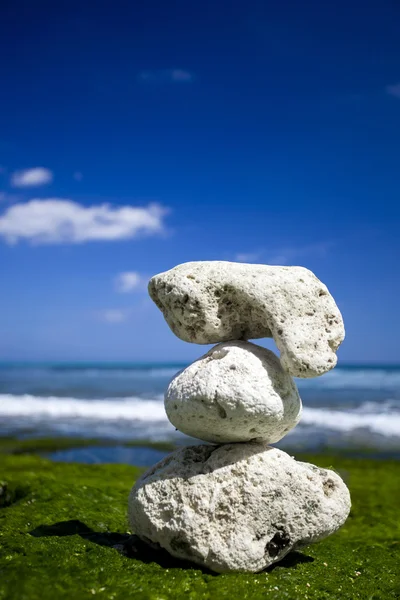 Vita stenar på en strand — Stockfoto