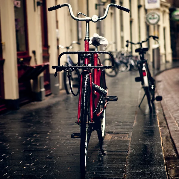 荷兰自行车 — 图库照片