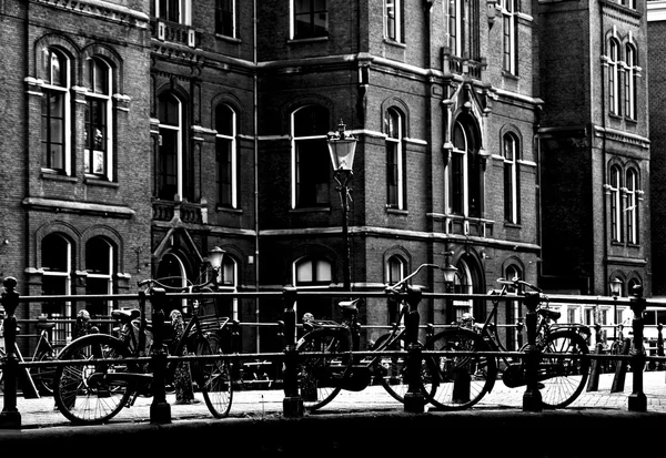 Ολλανδία ποδήλατα — Φωτογραφία Αρχείου