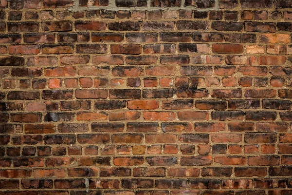 Turuncu Duvar Arkaplanı — Stok fotoğraf