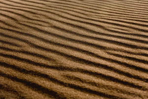 Schöne Landschaft Mit Goldenem Sand — Stockfoto