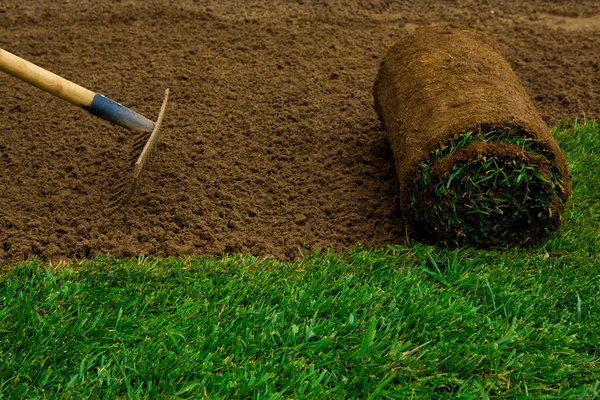 Gardener Preparing Land Applying Turf Rollers — ストック写真