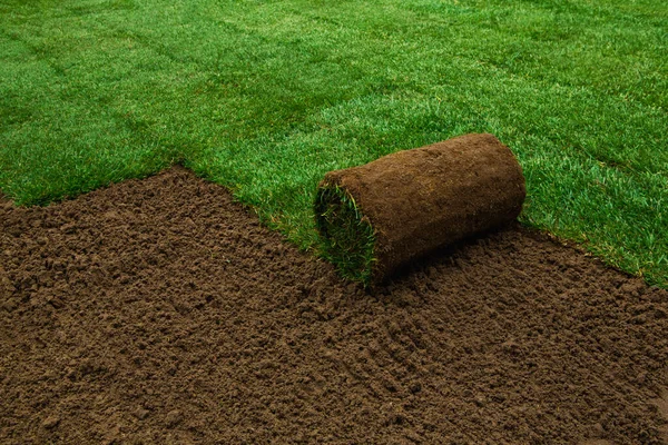 Turf Rolls Being Applied Land — 图库照片