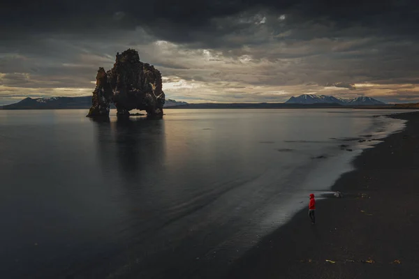 Hvitserkur Rock Formation Shape Elephant Iceland — Stock Fotó