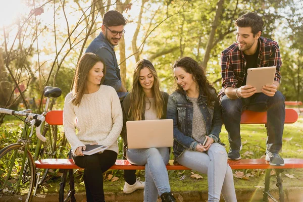 Grupo Amigos Parque Divirtiéndose Juntos — Foto de Stock