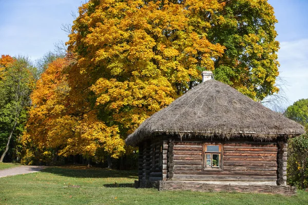 Casa tradizionale russa con tetto di paglia e una finestra di fronte al vicolo autunnale con alberi di acero giallo autunno — Foto Stock