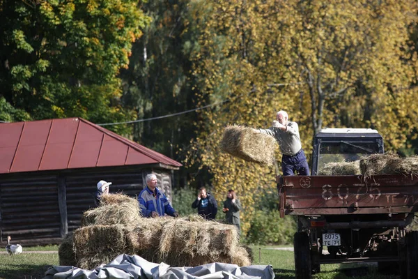 Beyaz saçlı, güçlü yaşlı bir adam traktör römorkundan attığı saman yığınını boşaltmak için dışarı atıyor. — Stok fotoğraf