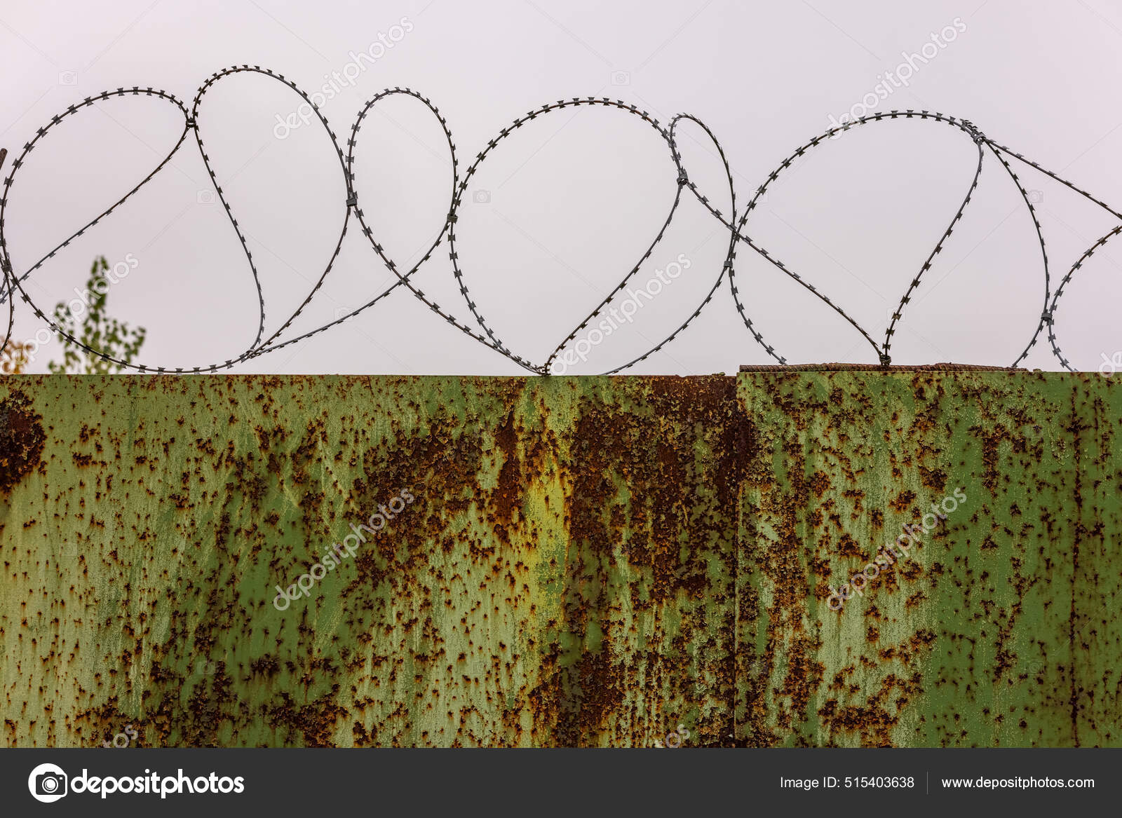 Flat rusted sheet metal fence with peeled off green paint and barbed