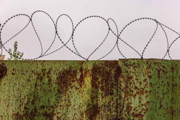 Flat rusted sheet metal fence with peeled off green paint and barbed wire on top of it — Stock Photo, Image