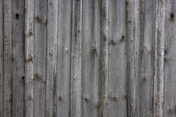 Oud droog verweerd grijs houten planken bordoppervlak - volledige frame achtergrond en textuur — Stockfoto