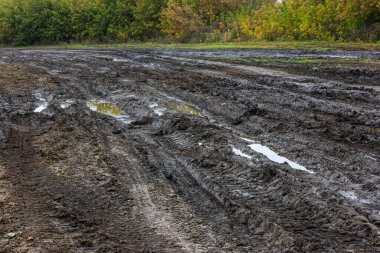 Puslu sonbahar sabahında tarım arazisinin yakınındaki geniş toprak yol