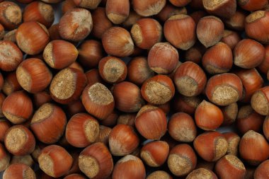 Kabuklu fındık yığını. Tam kare yakın plan.