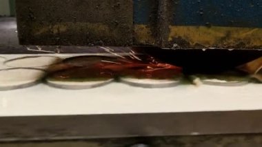 Metal endüstrisi: yatay olarak ıslak düz çelik aşınması süreci