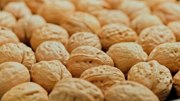 Looped spinning walnuts with shells close-up full frame background — Stock Video