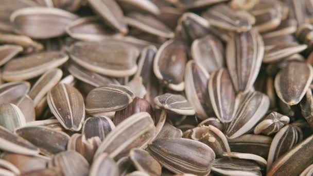 Graines de tournesol corrompues avec des oiseaux graines papillons de nuit — Video