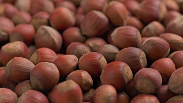 Looped spinning hazelnuts with the shell close-up full frame background — Stock Video