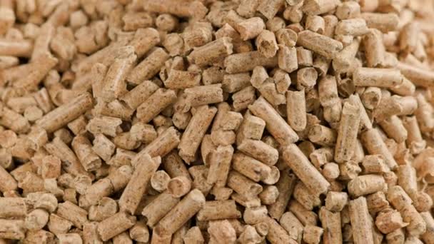 Lussen van dichtbij draaien van samengeperste houtzaagsel pellets — Stockvideo