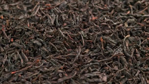 Schleife Spinnen trockener schwarzer Tee Vollformat Nahaufnahme Hintergrund — Stockvideo