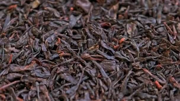 Looped κλώση ξηρό μαύρο τσάι πλήρες πλαίσιο γκρο-up φόντο — Αρχείο Βίντεο