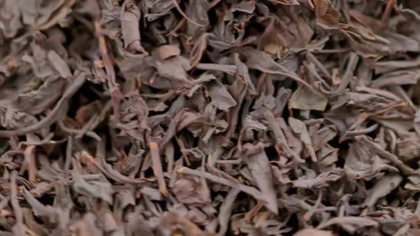 Schleife Spinnen trockener schwarzer Tee Vollformat Nahaufnahme Hintergrund — Stockvideo