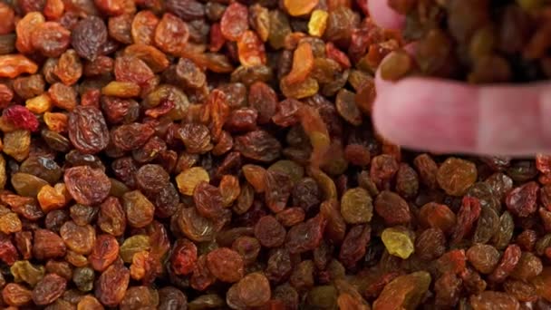 Caucasian Hand Pouring Raisins Spinning Pile Slow Close — Stock Video