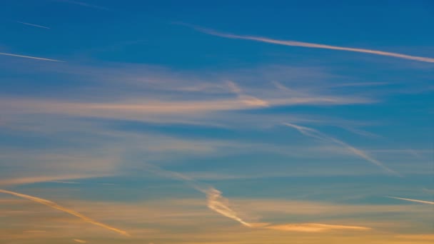 オレンジ色の羽雲と水平線のない青空の背景に日の出の飛行機の歩道の縞 望遠レンズによるフルフレームのタイムラプス — ストック動画