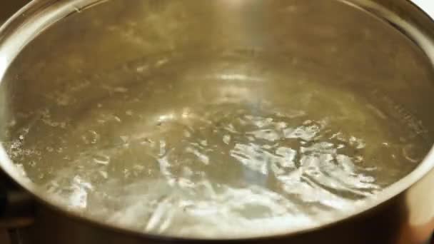 Eau Propre Bouillante Dans Une Casserole Acier Inoxydable — Video