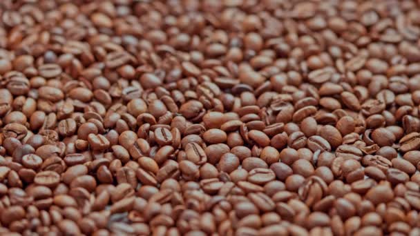 Rostade Kaffebönor Droppe Slow Motion Och Bildar Liten Hög Närbild — Stockvideo
