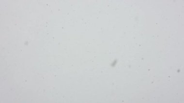 Gri bulutlu arkaplana düşen kar taneleri yavaş çekimde gündüz vakti