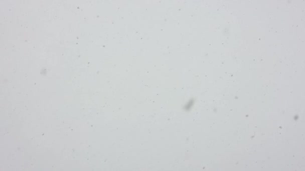 Snöflingor faller på grå mulen himmel bakgrund på dagen i slow motion — Stockvideo