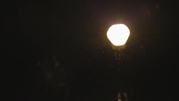 Spowolnił nocne opady śniegu wokół lampy ulicznej — Wideo stockowe