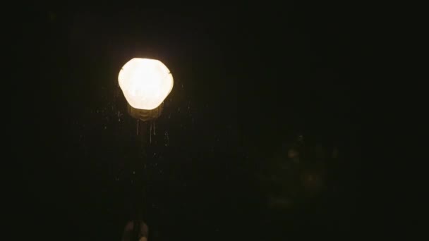 Saktade ner natten snöfall runt gatan lampa — Stockvideo