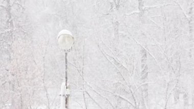 old lamp post under winter blizzard at snowy day on blurred snowy forest background