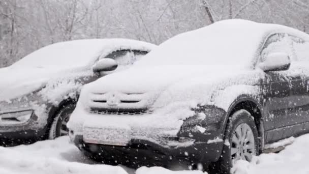 两辆车在白天暴风雪中停放-慢动作特写 — 图库视频影像