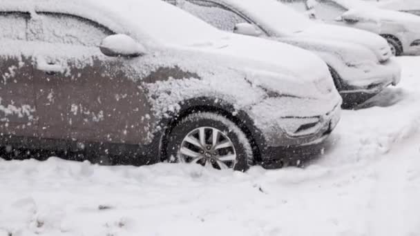 大风雪下一排停放的汽车-慢动作特写 — 图库视频影像