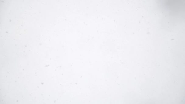 Sneeuw vallende uit bewolkte witte lucht, opwaarts uitzicht, volledig frame slo-mo achtergrond — Stockvideo