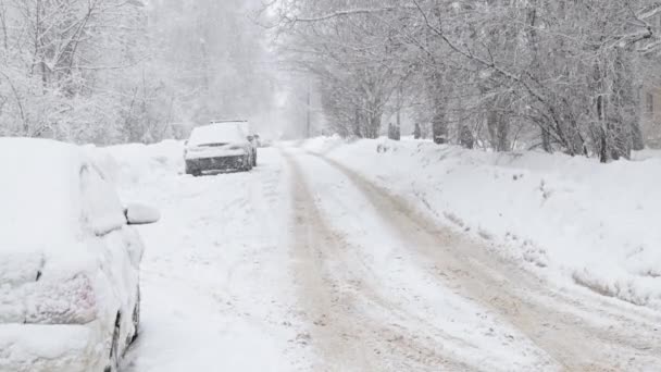 Giornata invernale nevicata su strada innevata al rallentatore — Video Stock