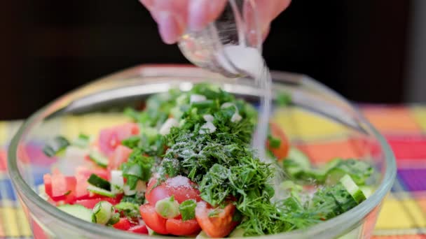 Woman add salt and pepper in bowl with vegetable salad and mixing it with spoon — Vídeo de Stock