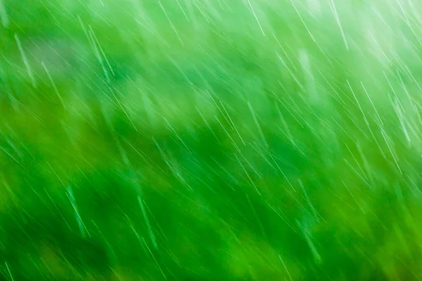 Verschwommen fallende Regentropfen auf grünem Hintergrund mit selektivem Fokus — Stockfoto